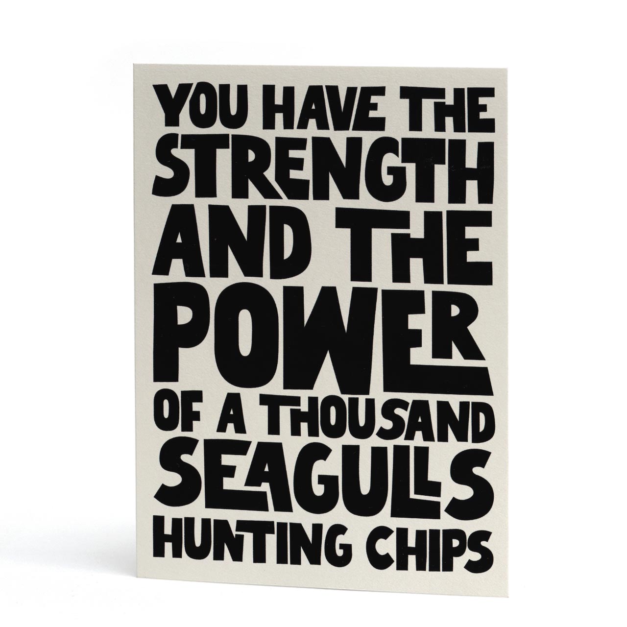 Seagulls Card