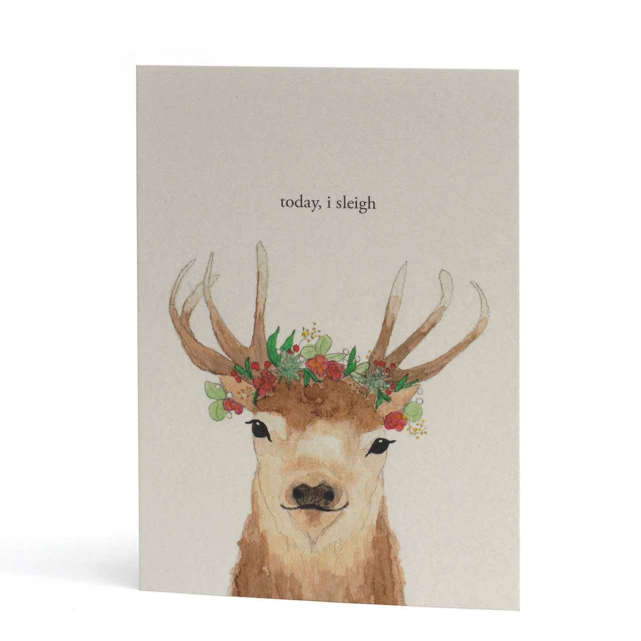 Today I Sleigh Christmas Card