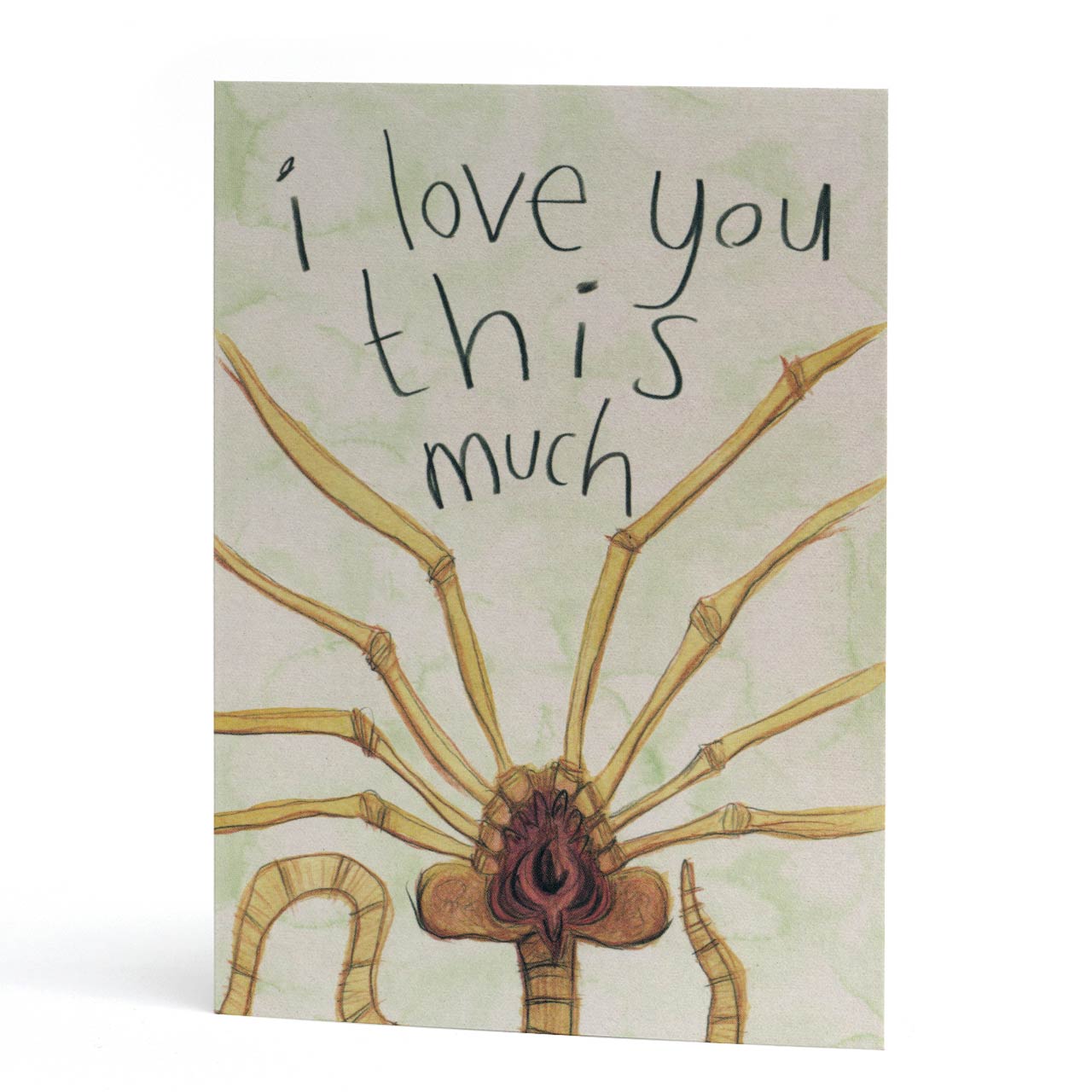 I Love You This Much Greeting Card